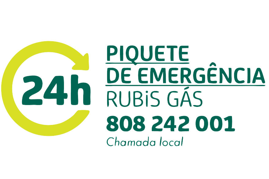 Piquete de Emergência 24h — 808 242 001